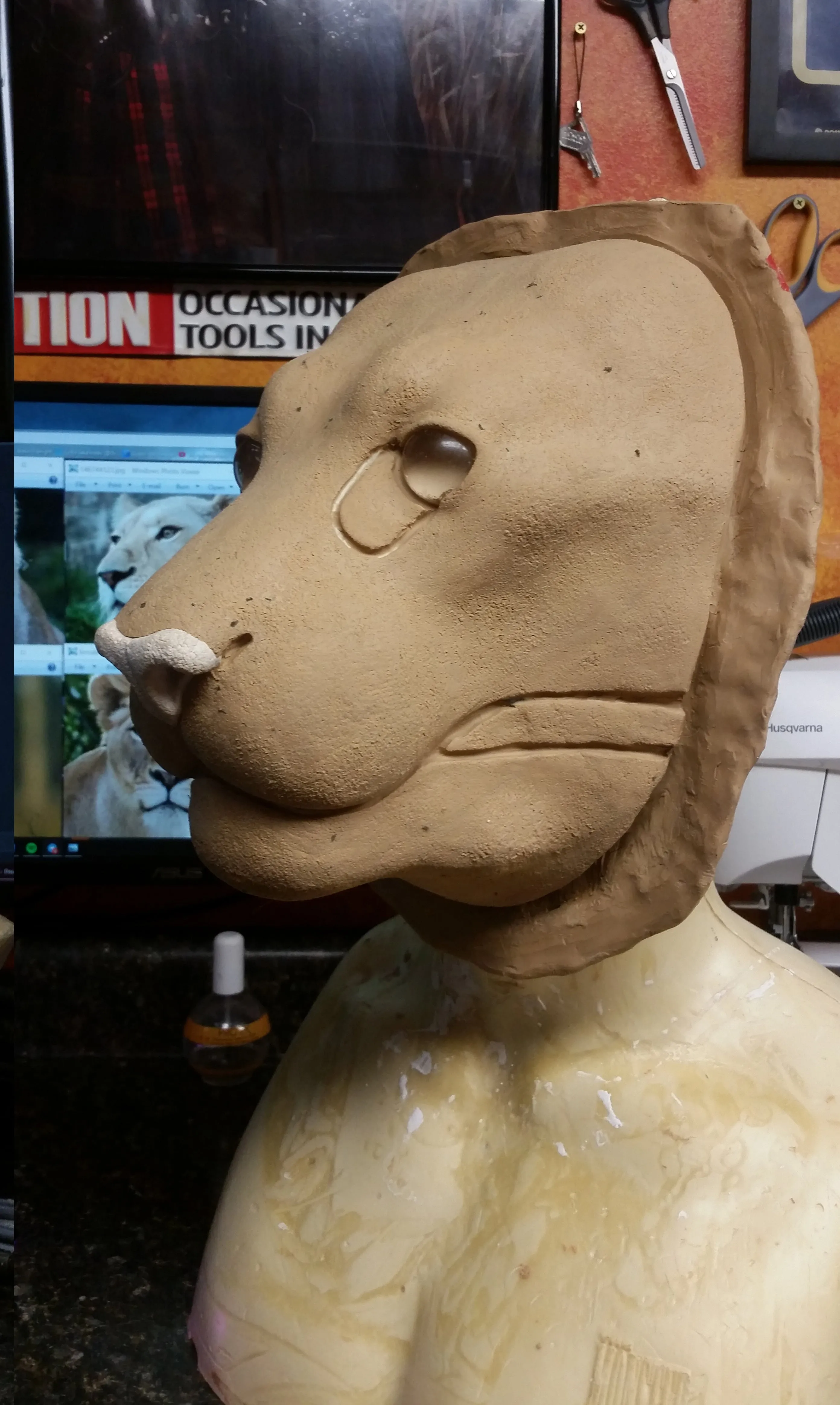 Lion/Tiger Base