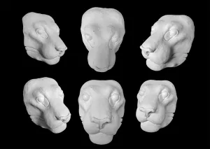 Lion/Tiger Base