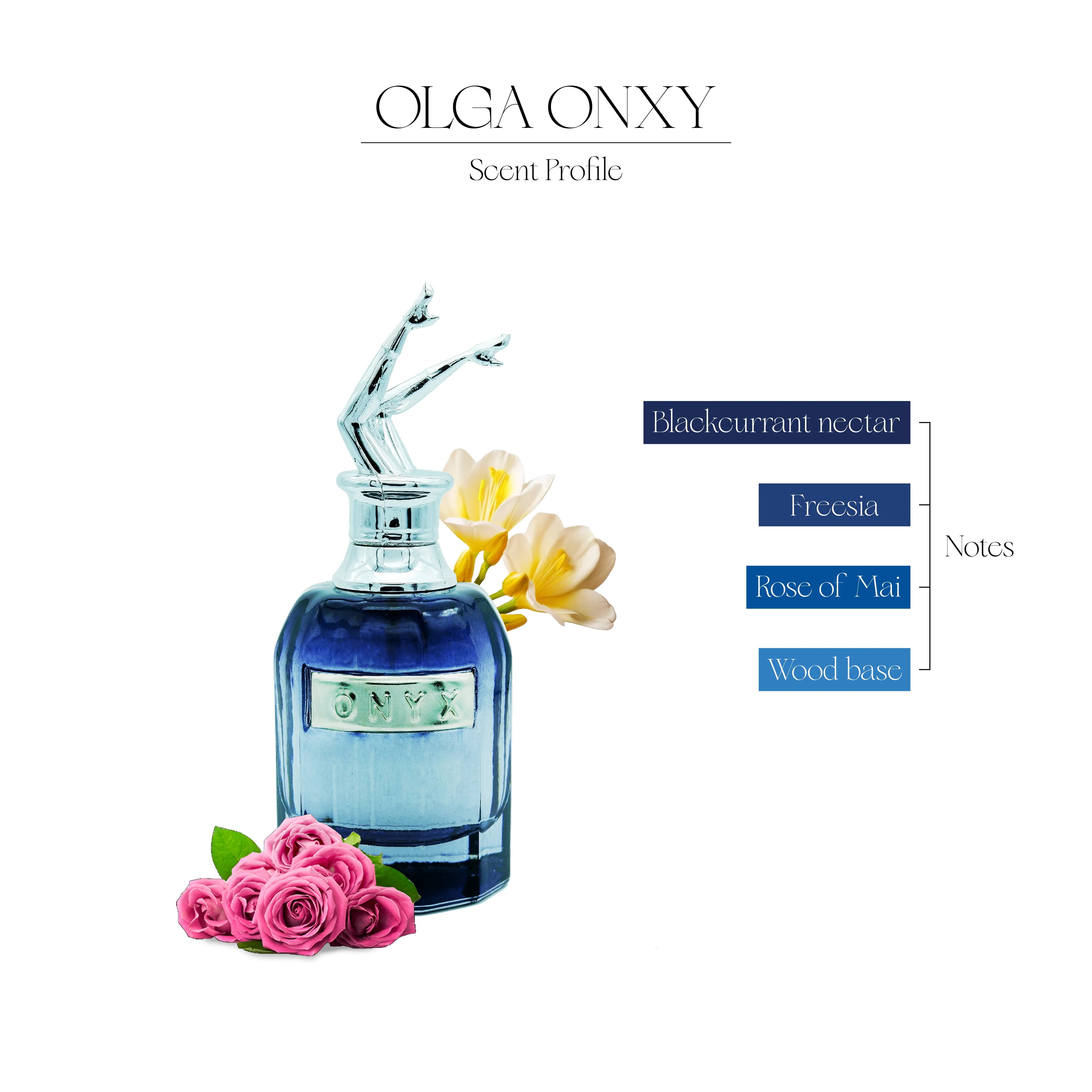 Onyx By Olga - Best Selling Perfume for Women